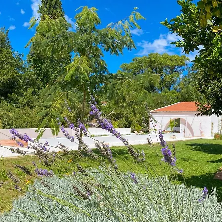 Casa Do Rio Apartment Leiria Exterior photo